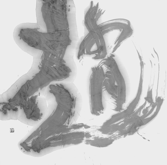 趙