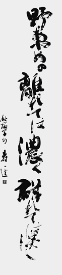 野あやめの…