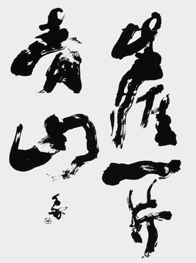 生涯一片青山
