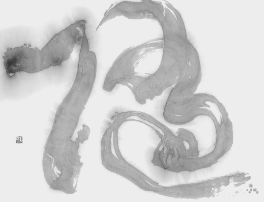 隨