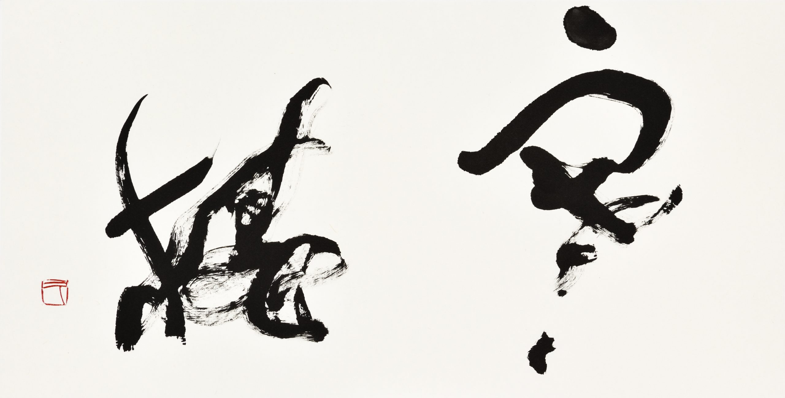 寒椿