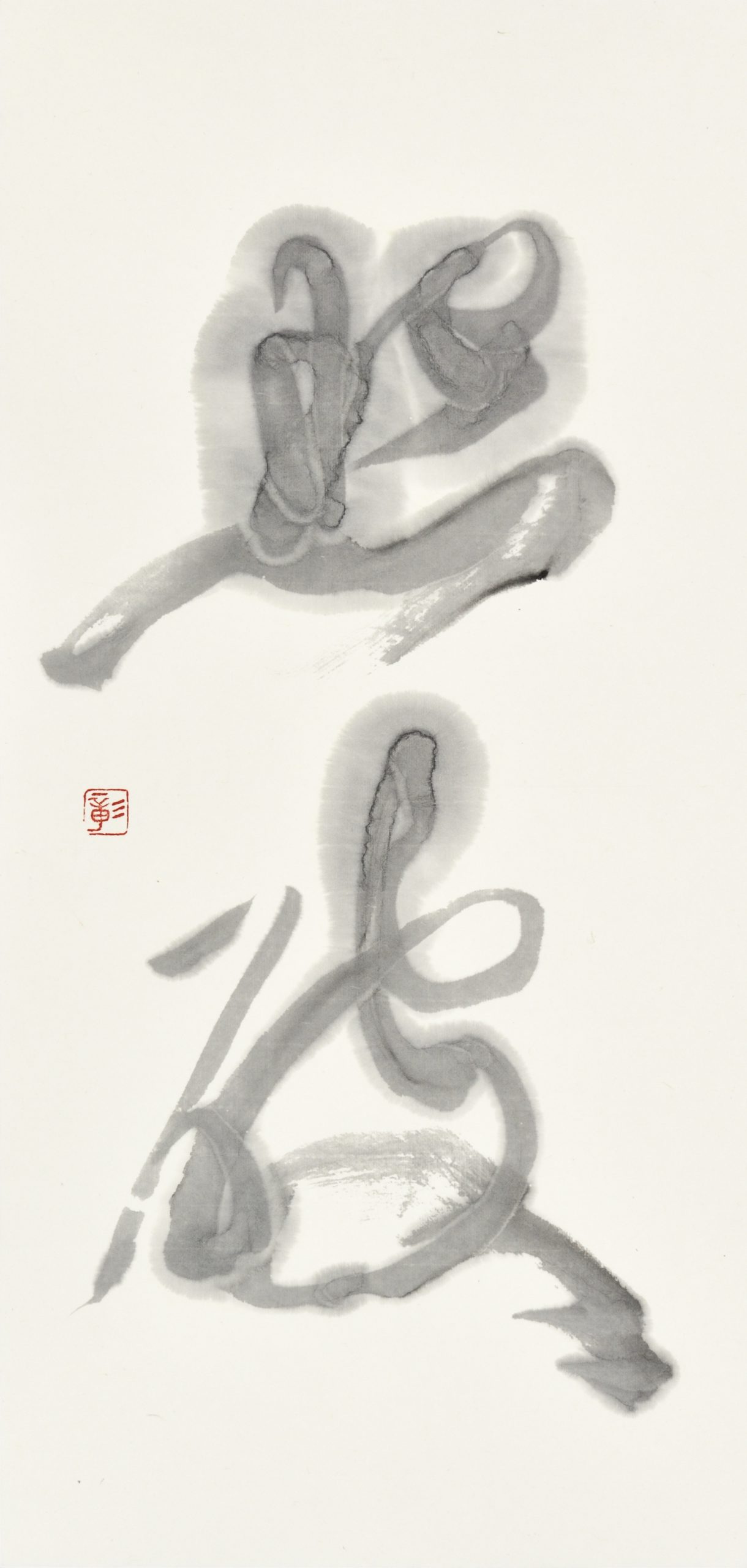 照破