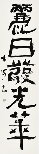 麗日發光華