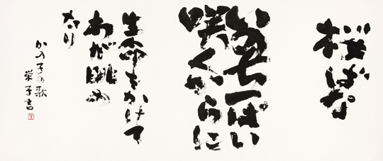 桜ばないのち一ぱい咲くからに生命をかけてわが眺めたり