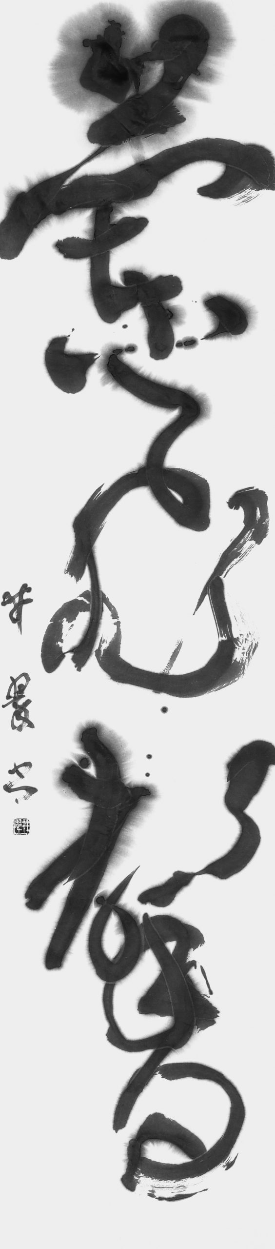 蘭飛馨