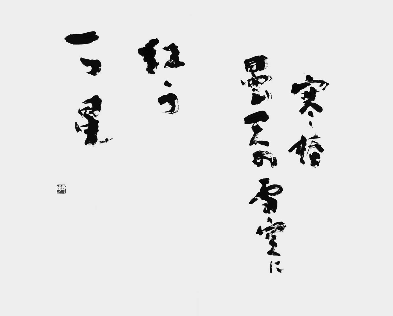 寒椿曇天の雪空に…（自作）