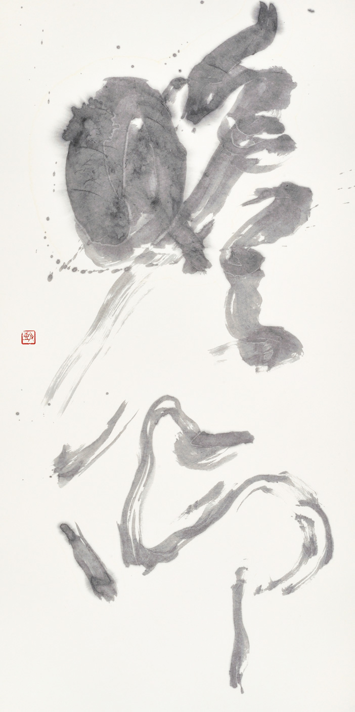 瞻仰