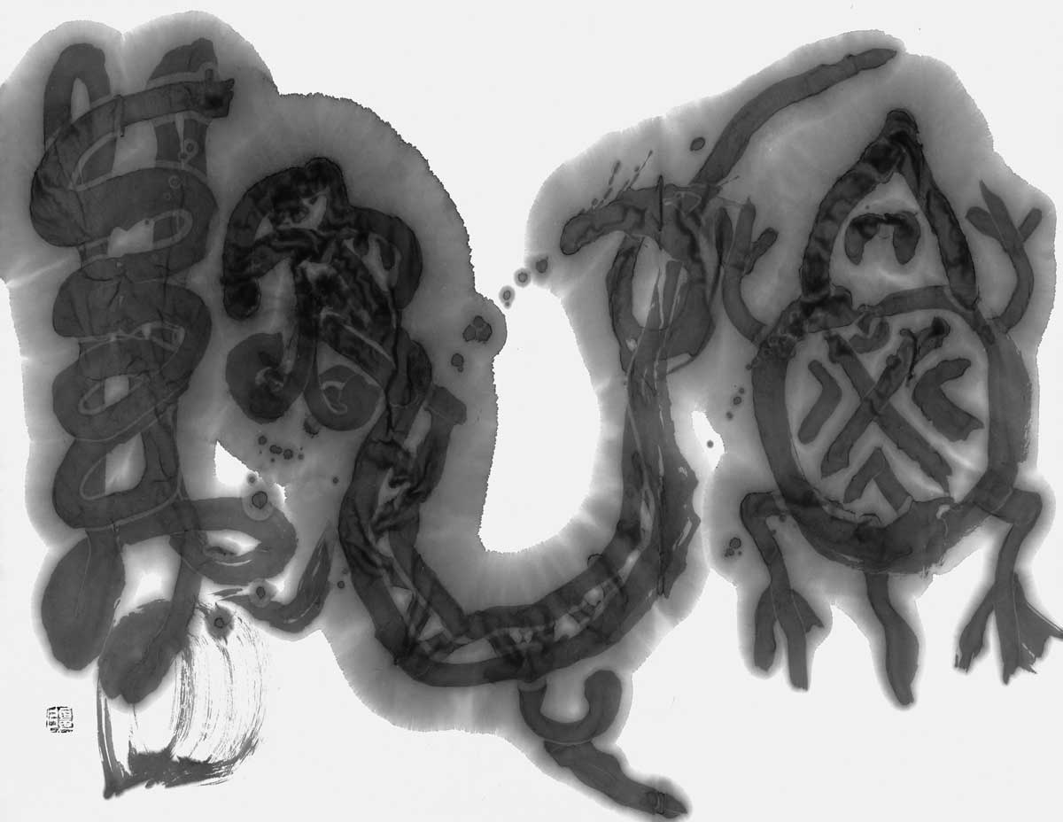 亀龍寿