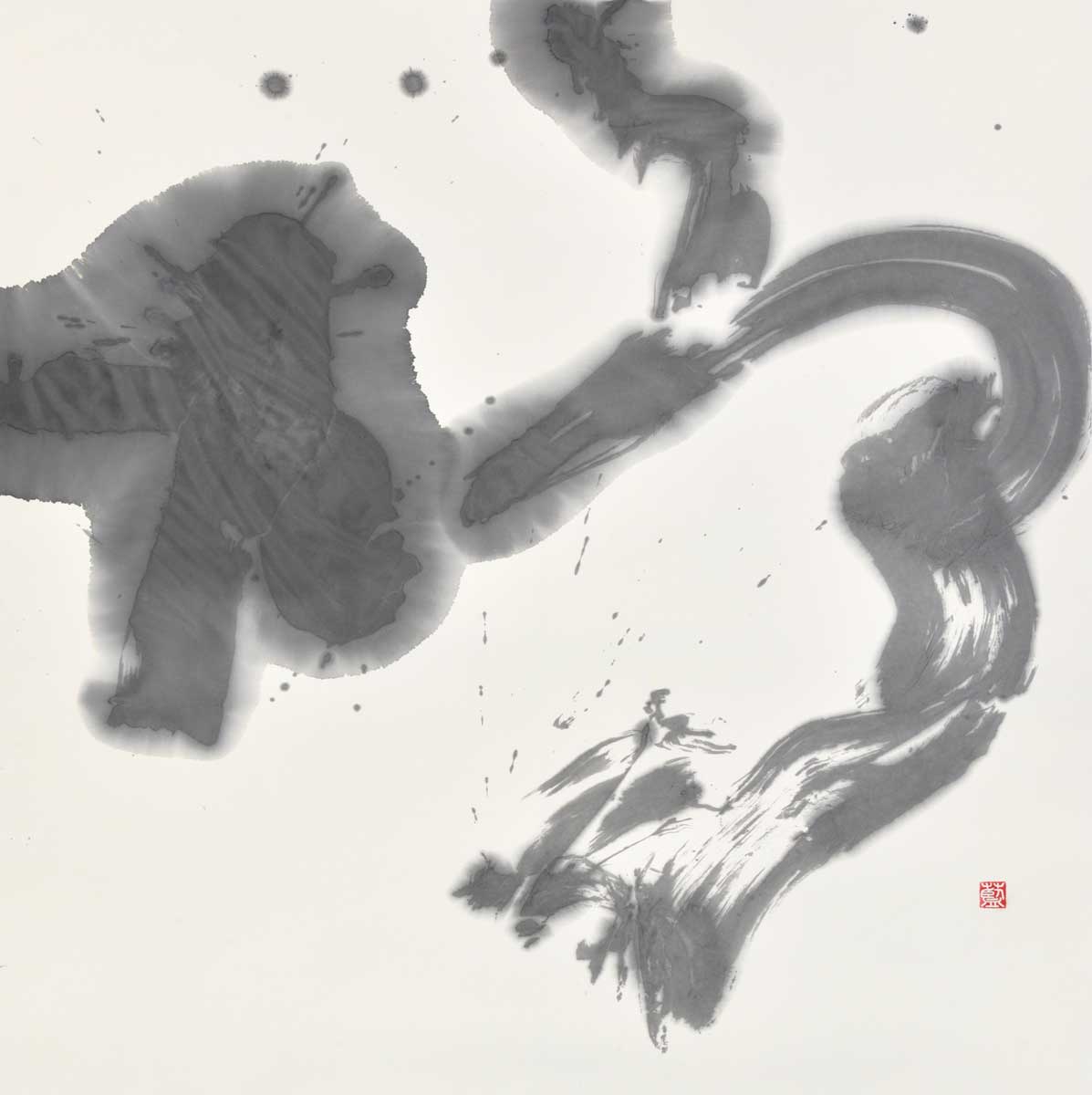 鳩