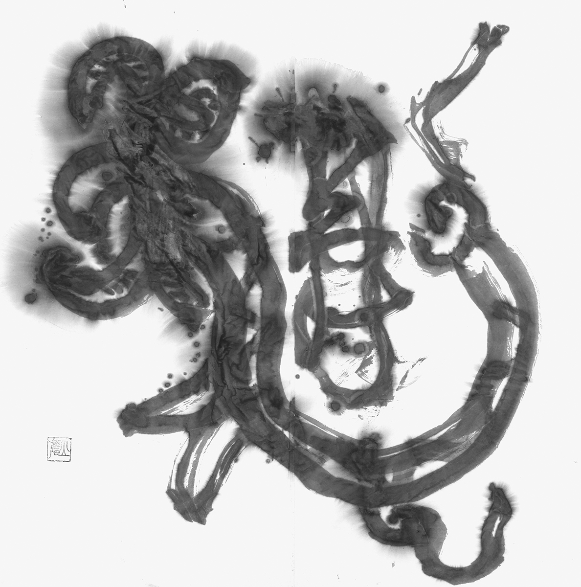 龍寿
