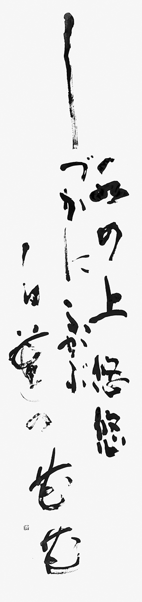 白蓮の花
