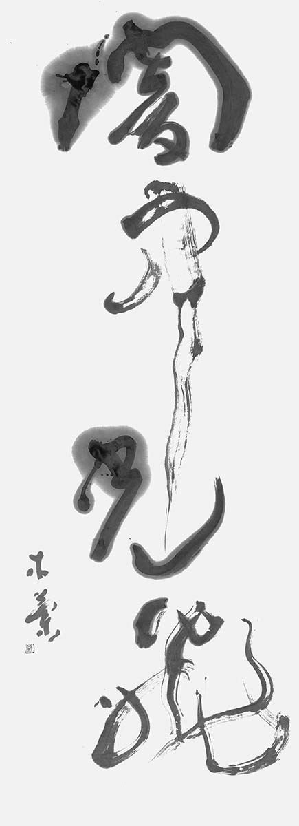 闇中光飛