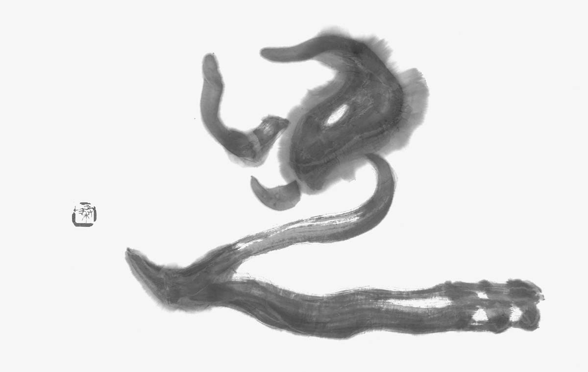 足