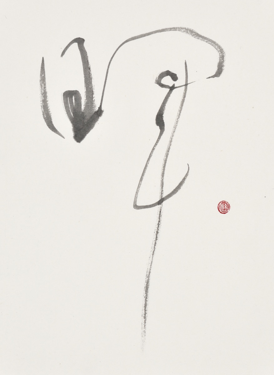 暉